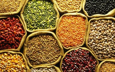 pulses